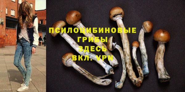 jwh Бронницы