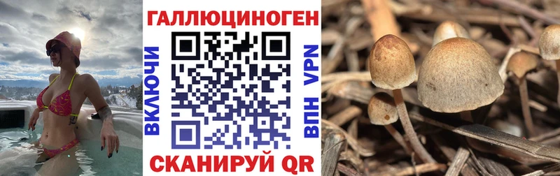 Псилоцибиновые грибы прущие грибы  Нижний Тагил 
